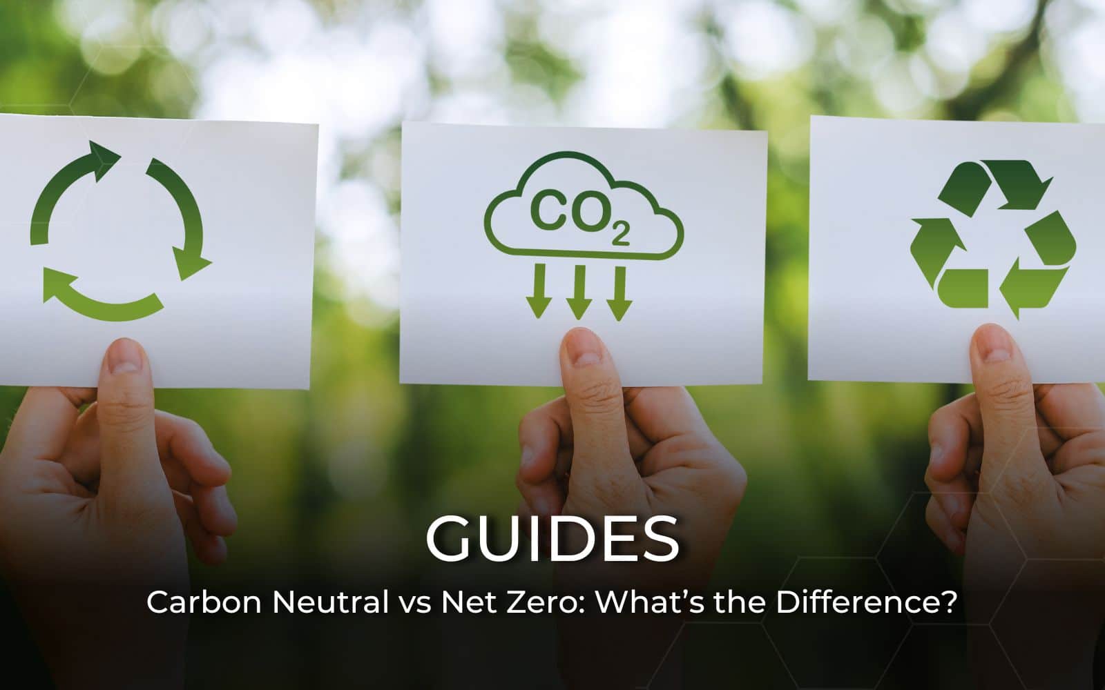 Carbon neutral vs net zero